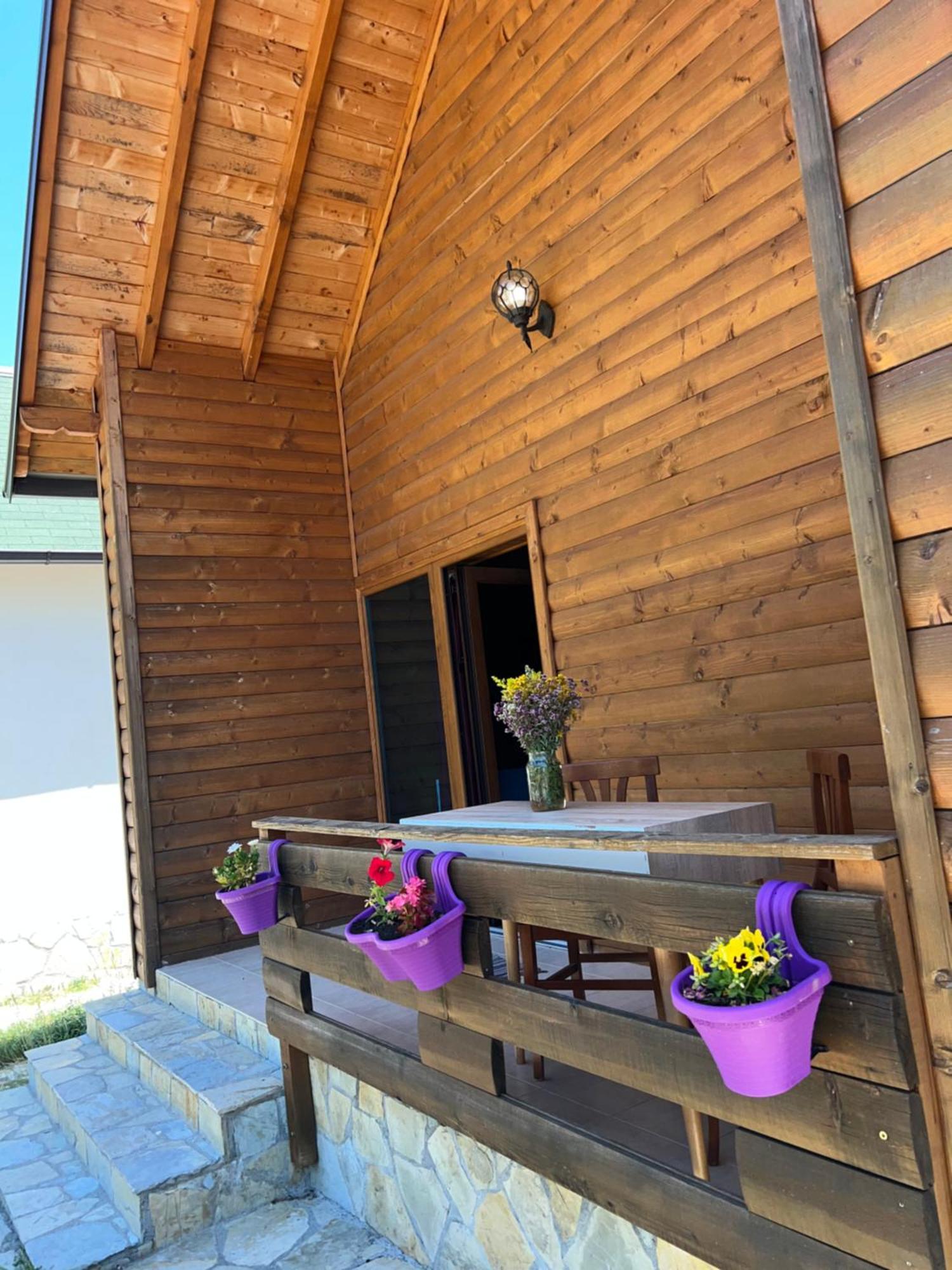 Hotel Mik